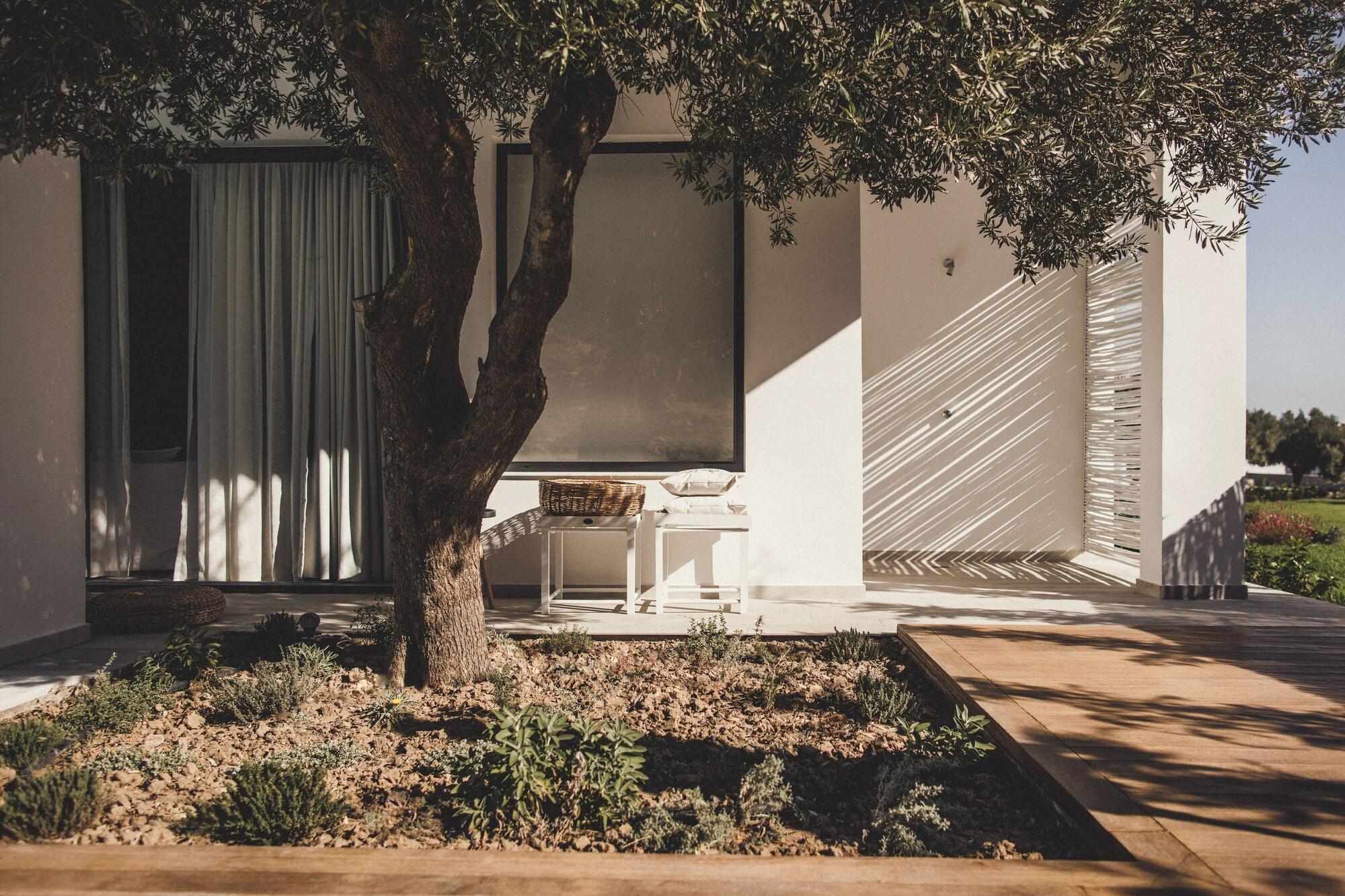 Hotel Casa Cook Rhodes (Adults Only) Kolymbia Esterno foto Villa 10, 2014